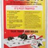 PIC GPT-4 Glue Pest Trap for Spider and Snake, 4-Pack 16 91o8ZtBGoiL