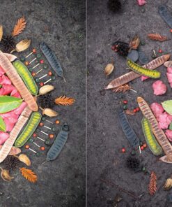 Morning Altars: A 7-Step Practice to Nourish Your Spirit through Nature, Art, and Ritual 26 91oDZu cR8L