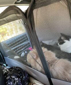 FELIWAY Classic Cat Calming Pheromone Travel Spray (20 mL) 1.8"L x 1.8"W x 3.8"Th 34 91oH607BpL