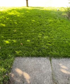 EZ Straw Seeding Mulch with Tack - Biodegradable Organic Processed Straw – 2.5 CU FT Bale (Covers up to 500 sq. ft.), Multi 46 91ociD77DL