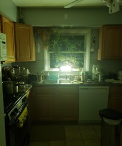 LECLSTAR Solar Outdoor Lights - 4000Lm 268 LED Security Lights with 4 Wide Angle, Motion Sensor Lights for Outside, IP65 Waterproof Solar Powered Wireless Flood Wall Lights with 3 Modes Black 41 91odUcHyn9L