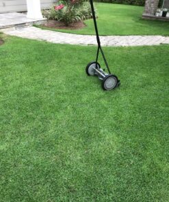 Great States 415-16 16-Inch Reel Mower Standard Full Feature Lawn Mower with T-Style Handle and Heat Treated Blades 16-Inch, 5-Blade Reel Only 49 91ofNxTW4eL