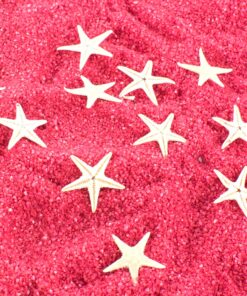 Tiny Miniature Fairy Garden Beach Critter Starfish Marine Life Collection for Arts & Crafts Projects, Decorations, Party Favors, Invitations (90 Pieces) 28 91ofjz0Pp4L