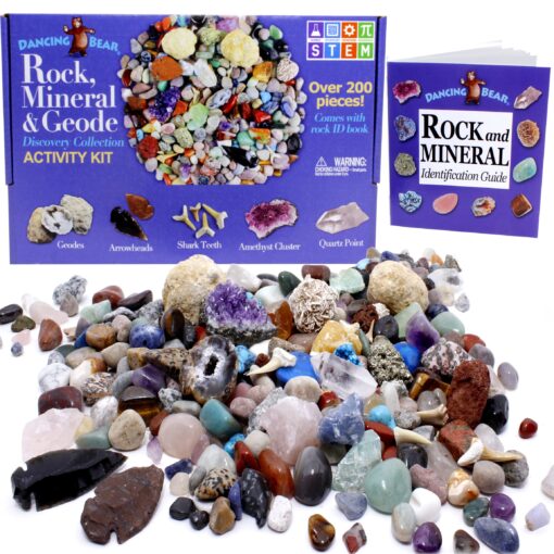 DANCING BEAR Rock, Mineral & Geodes Treasure Hunt Activity Kit (200 Pc Set) Real Shark Teeth Fossils, ID Sheet & Rock Book, STEM Rock, Mineral & Geodes Collection