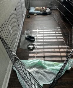 MidWest Homes for Pets Foldable Metal Dog Exercise Pen / Pet Playpen, 24'W x 24'H, 1-Year Manufacturer's Warranty Black No Door 24" H 39 91oz2EH5EL