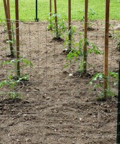 BLACK+DECKER 20V MAX* Tiller (LGC120) 20V Cultivator/Tiller Kit 34 91p3hX2foeL