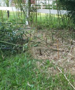 BLACK LEGION Jungle Hunter Machete with Nylon Sheath and Lanyard Cord - Stainless Steel Blade, Sawback Blade Spine, Non-Reflective Black Coating, ABS Handle - Hacking and Chopping Tool - 25" Length 11 91p9OQrD6XL