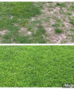 Scotts Natural Lawn Food, 29.1 lbs. 1 Pack 43 91pAAFDXpVL
