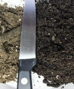 Espoma Organic Cactus Potting Soil Mix, Natural & Organic Soil for Cactus, Succulent, Palm, and Citrus grown in containers both indoors and outdoors, 4 qt, Pack of 1 4 Quart 40 91pCYQxYToL