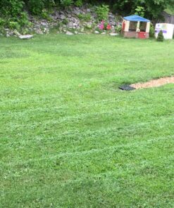 Greenworks 16-Inch Reel Lawn Mower with Grass Catcher 25052,Black/Green, 47"D x 22"W x 29.75"H 16" Reel Mower 60 91pD1fe3RIL