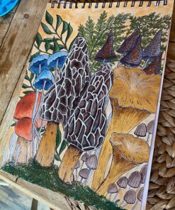 Acrylic Paint Set of 24 Colors, 0.4 oz (12 ml) Tubes, Perfect for Artists & Kids, Art Supplies for Canvas Wood Fabric Ceramic Crafts Painting Acrylic 24Colors 9 91pZ8 5f6mL