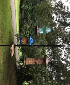 BOLITE 18001 Hummingbird Feeder, Glass Wild Hummingbird Feeders for Outdoors, Retro Edison Bulb Bottle, 25 Ounces, Green, Xmas Gifts for Bird Lovers Retro Bulb 32 91plZJSzVhL