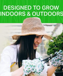 Plant Theatre Bonsai Tree Kit - Indoor Plant Growing Kit w/ 3 Mini Bonsai Seed Packs, 6 Pots, 6 Peat Discs and 6 Propagator Bags - Gardening Gifts for Men, Women and Room Decor - Crafts for Adults 33 91pta0XQJtL