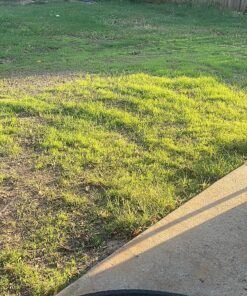 Scotts Turf Builder Grass Seed Bermudagrass, Mix for Full Sun, Built to Stand Up to Heat & Drought, 5 lbs. 5 lb. 67 91pu5fVp2mL