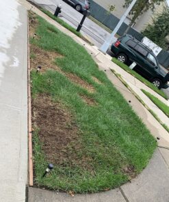 Scotts Turf Builder Grass Seed Fall Overseeding Mix, Thickens & Strengthen to Help Prevent Future Weeds, 15 lbs. 15 lb. 35 91pyj8f8hxL