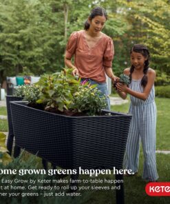 Alternative view of Keter Easy Grow 31.7 Gallon Raised Garden Bed with Self Watering Planter Box and Drainage Plug-Perfect for Growing Fresh Vegetables, Flowers and Herbs Graphite