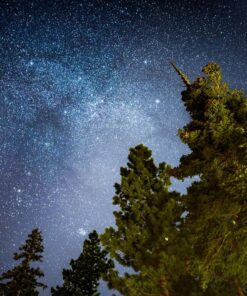 Rokinon 14mm F2.8 Full Frame Auto Focus Lens for Sony E-Mount, Black (IO14AF-E) 49 91q8jEDz64L