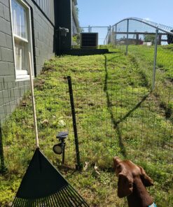 BLACK+DECKER Lawn Mower Removable Deck for String Trimmer (MTD100) 20 91qAolPjwGL