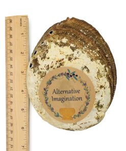 Hand Selected Abalone Shell, 6 Inches or Larger. Perfect for Holding Incense, Trinkets, and More 29 91qB4DJCVvL