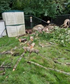 WORX WG303.1 14.5 Amp 16" Electric Chainsaw 16" 14.5Amp Electric Chainsaw 57 91qDXzgY7wL