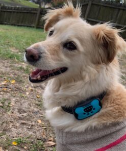 Humane Dog Bark Collar 2 Pack | Anti Barking Training Collar | Vibrating, No Shock Stop Barking for Small Medium Large Dogs | Excessive Barking Pet Corrector, (Battery) Orange & Blue Battery 36 91qRKcRWa7L