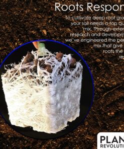 Plant Revolution PRPSGW01 Premium White Mycorrhizae, 1 oz, 1 Ounce, Gray 27 91qchhdSOvL