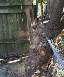 WORX WG303.1 14.5 Amp 16" Electric Chainsaw 16" 14.5Amp Electric Chainsaw 40 91qg61KaccL