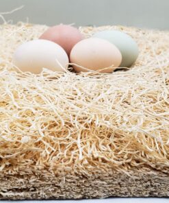 MagJo Premium Aspen 12 Pack Excelsior Nesting Liners (12 Pack), Chicken Bedding for Nesting Box, Nesting Pads Box Liners, Chicken Bedding for coop, Chick Bedding, USA Grown & Sustainably Harvested 28 91qgKC0XXCL