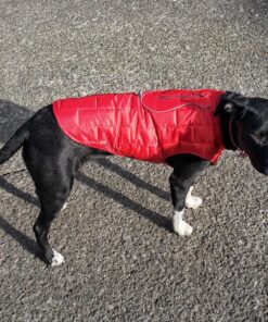 Kurgo Loft Dog Jacket, Reversible Dog Coat, Wear with Harness or Sweater, Water Resistant, Reflective, Winter Coat For Medium Dogs (Chili Red, M) Chili Red/Charcoal 49 91r2lPxqASL