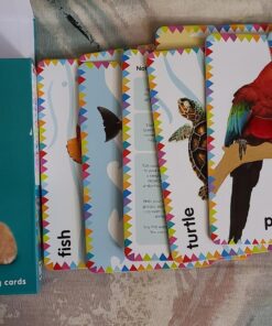 My First Touch and Feel Picture Cards: Animals (My First Board Books) 60 91rB S0L4L