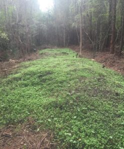 Antler King Honey Hole Mix 41 91rOAqYr8lL