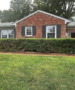 Lawnlift Ultra Concentrated (Green) Grass Paint 16oz. = 1.375 Gallons of Product. 46 91rOqFisFEL