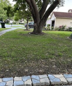 Scotts EZ Seed Patch & Repair Sun and Shade Mulch, Grass Seed, Fertilizer Combination for Bare Spots and Repair, 20 lb 20 lb. 1 Pack 49 91rPcbSLmOL 1