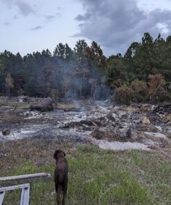 Flexzilla Garden Hose 5/8 in. x 100 ft., Heavy Duty, Lightweight, Drinking Water Safe, ZillaGreen - HFZG5100YW-E 5/8" x 100' (feet) 41 91rR I0W28L