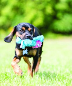 Alternative view of KONG Cozie Elmer the Elephant, Medium Dog Toy, Pink