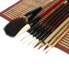 Corciosy Chinese Calligraphy Brush Set -Premium Watercolor Brushes for Kanji, Japanese Sumi, Painting, Drawing, Art Supplies with Roll-up Bamboo Brush Holder 10 Piece/Set 10pcs 8 91s40kC28HL