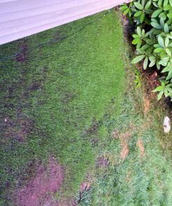 Scotts EZ Seed Patch & Repair Sun and Shade Mulch, Grass Seed, Fertilizer Combination for Bare Spots and Repair, 4 lb 3.75 lb. 1 Pack 43 91sT5owmO5L