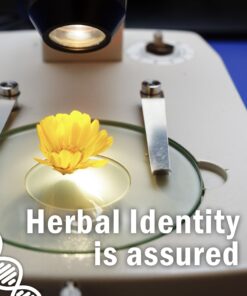 Herb Pharm Osha Root Liquid Extract for Respiratory Support - 1 Ounce 1 Fl Oz (Pack of 1) 13 91sTN3RAxpL 1