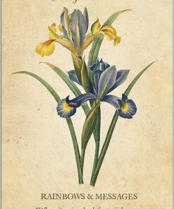 Botanical Inspirations Deck & Book Set 40 91sV2BMaG6L