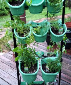 Watex Mobile Green Wall (Double Frame, Spring Bouquet), BPA Free Planters Double Frame 25 91sbxk8VFiL