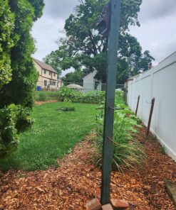 Burpee American Giants Hybrid Sunflower Seeds 50 seeds 14 91slcKSROL