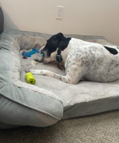 UPGRADED Q6 Rechargeable Bark Collar - Smart Barking Detection Module w/Triple Stop Anti-False Modes: Beep/Vibration/Shock for Small, Medium, Large Dogs & Breeds - IPx7 Waterproof (15-120 LBS) 39 91spFnRv0L