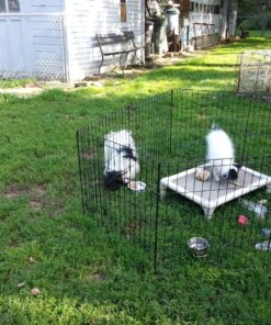 Wondercide - EcoTreat Ready-to-Use Outdoor Pest Control Spray with Natural Essential Oils - Mosquito, Ant, Insect Repellent, Treatment, and Killer - Plant-Based - Safe for Pets , Kids - 32 oz 29 91sqtWa8T4L