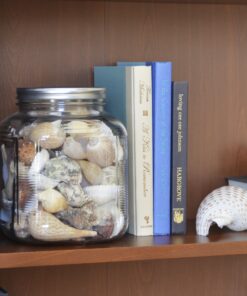 Anchor Hocking 1-Gallon Cracker Jar with Lid, Brushed Aluminum, Set of 4 1 Gallon Cracker Jar 14 91syIxY1F7L