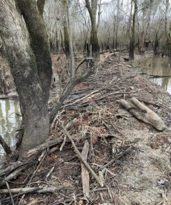 HME Economy Trail Camera Holder with 360-Degree Camera Head Compact Sturdy Design Easy Installation Versatile Compatibility 18 91t85MFCI5L