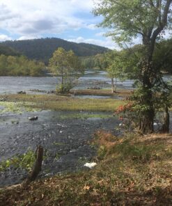 Nature's Hangout XL Hammock Straps - 10 feet (20 ft, 32 Loops Total). Longest, Strongest & Most Versatile. Quick Easy Setup for All Hammocks. Lightweight & Tree Friendly. No Stretch Polyester Black 45 91t9XjJegwL 1