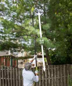 Sun Joe SWJ800E 8-Inch 6.5-Amp Telescoping Electric Pole Chain Saw with Automatic Chain Lubrication System Pole Saw 8-Inch Bar/Chain 8.7' Max. Extension 36 91tVJiBvewL