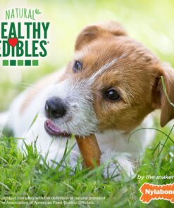 Nylabone Healthy Edibles All-Natural Long Lasting Bacon Flavor Chew Treats 1 count pack of 3 Bacon Small/Regular 3 Bacon Dog Treats 3 Count (Pack of 1) 20 91tXXv2ivrS