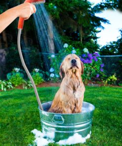 Ivation Portable Outdoor Shower, Battery Powered - Compact Handheld Rechargeable Camping Showerhead - Pumps Water from Bucket Into Steady, Gentle Shower Stream 24 91taR1e5uL