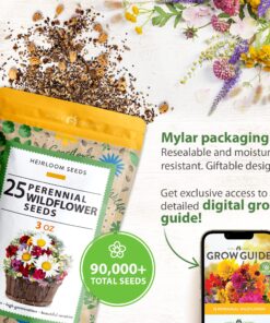 90,000 Wildflower Seeds - 3oz Pure Wild Flower Seed Pack - 25 Variety - Perennial Flower Seeds for Attracting Birds & Butterflies - Open Pollinated, Flower Garden Seeds for Planting Outdoors Perennial (3oz) 34 91tjm3UsdL 4